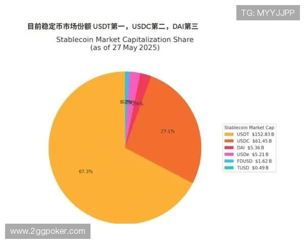 深入解析USDT币圈:投资机会与风险分析